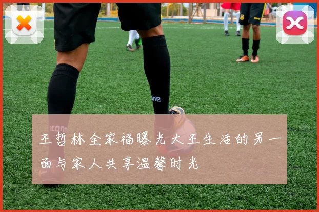 王哲林全家福曝光大王生活的另一面与家人共享温馨时光