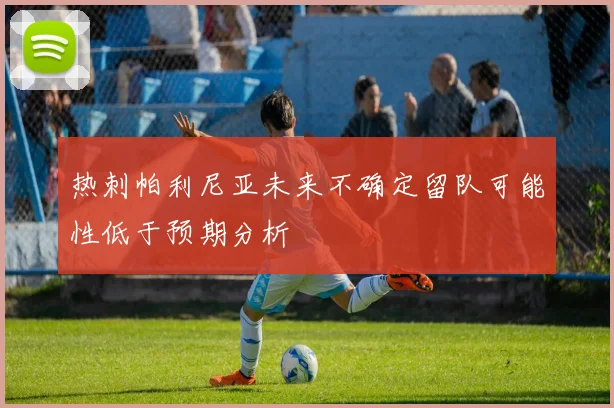 热刺帕利尼亚未来不确定留队可能性低于预期分析