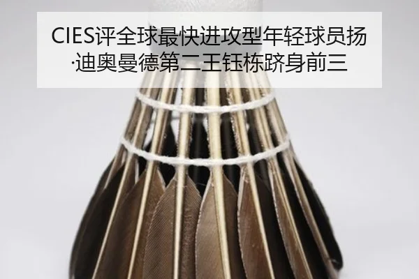 CIES评全球最快进攻型年轻球员扬·迪奥曼德第二王钰栋跻身前三（iqiyi）