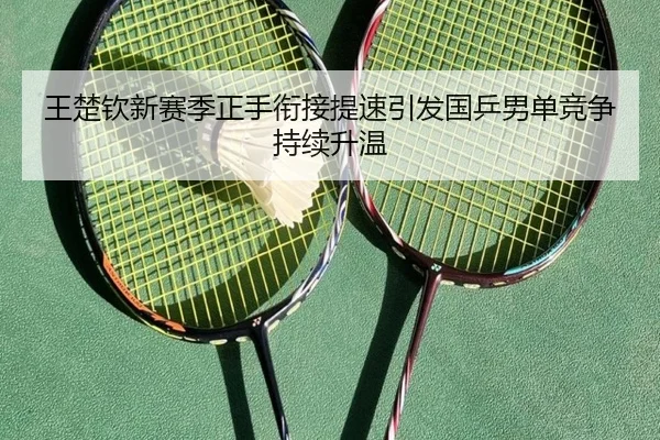 王楚钦新赛季正手衔接提速引发国乒男单竞争持续升温(iqiyi)
